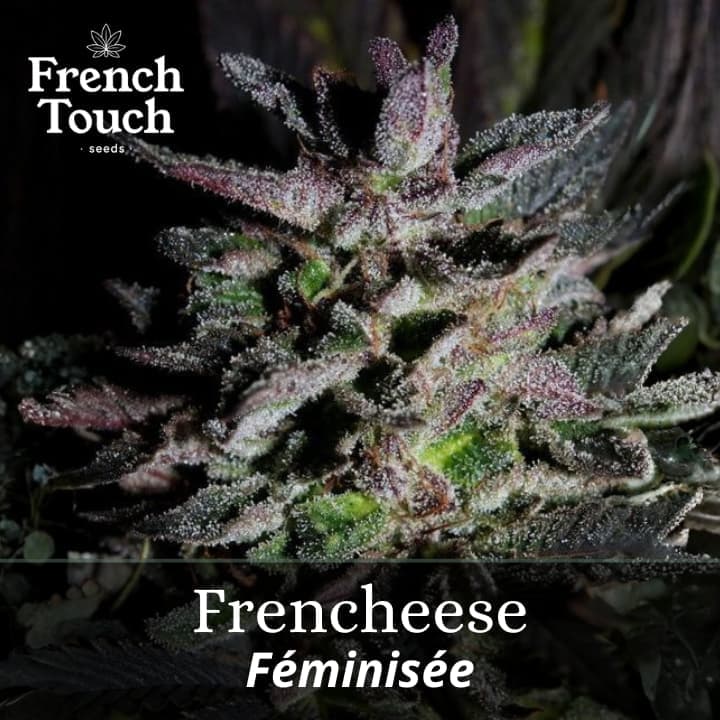 Frencheese