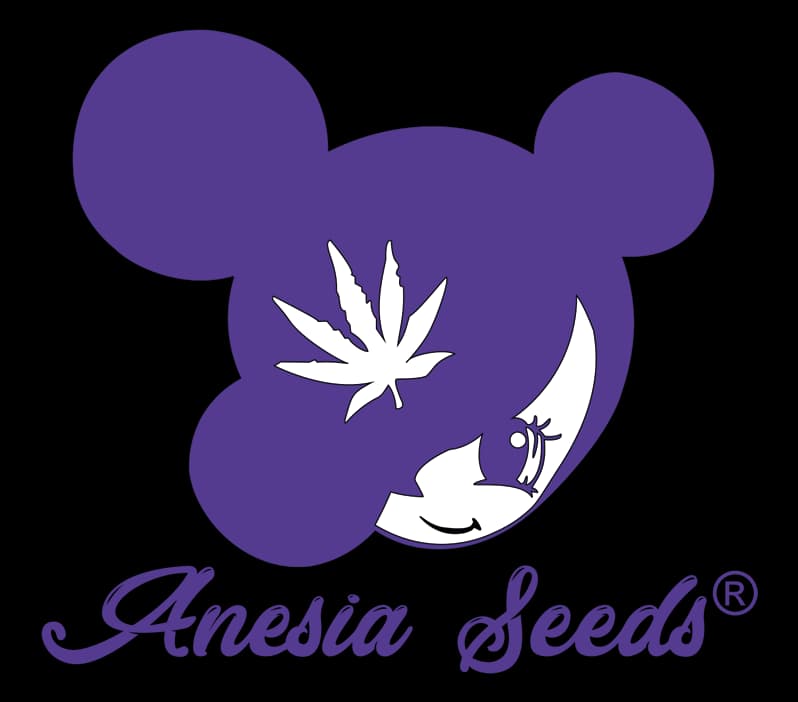 Anesia Seeds